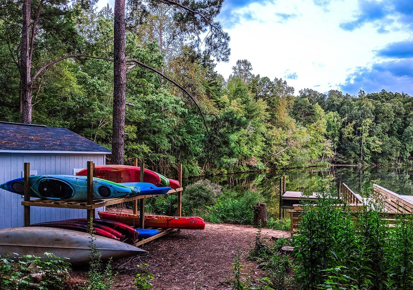 3 Anne Springs Close Greenway Summer