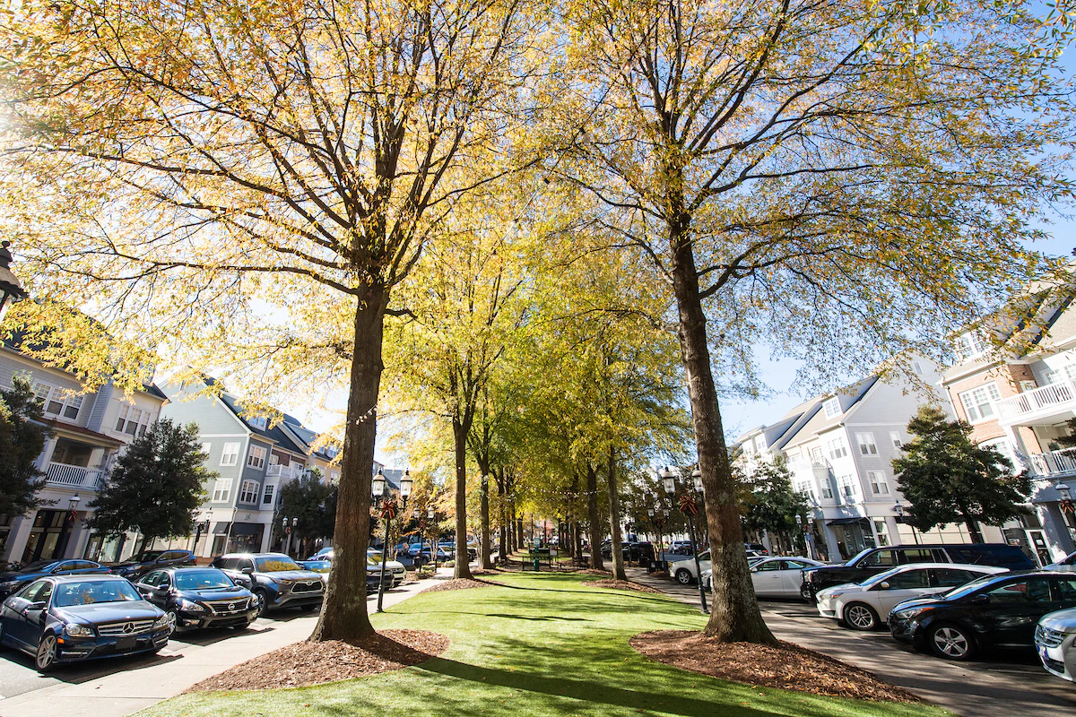 Birkdale Village 9