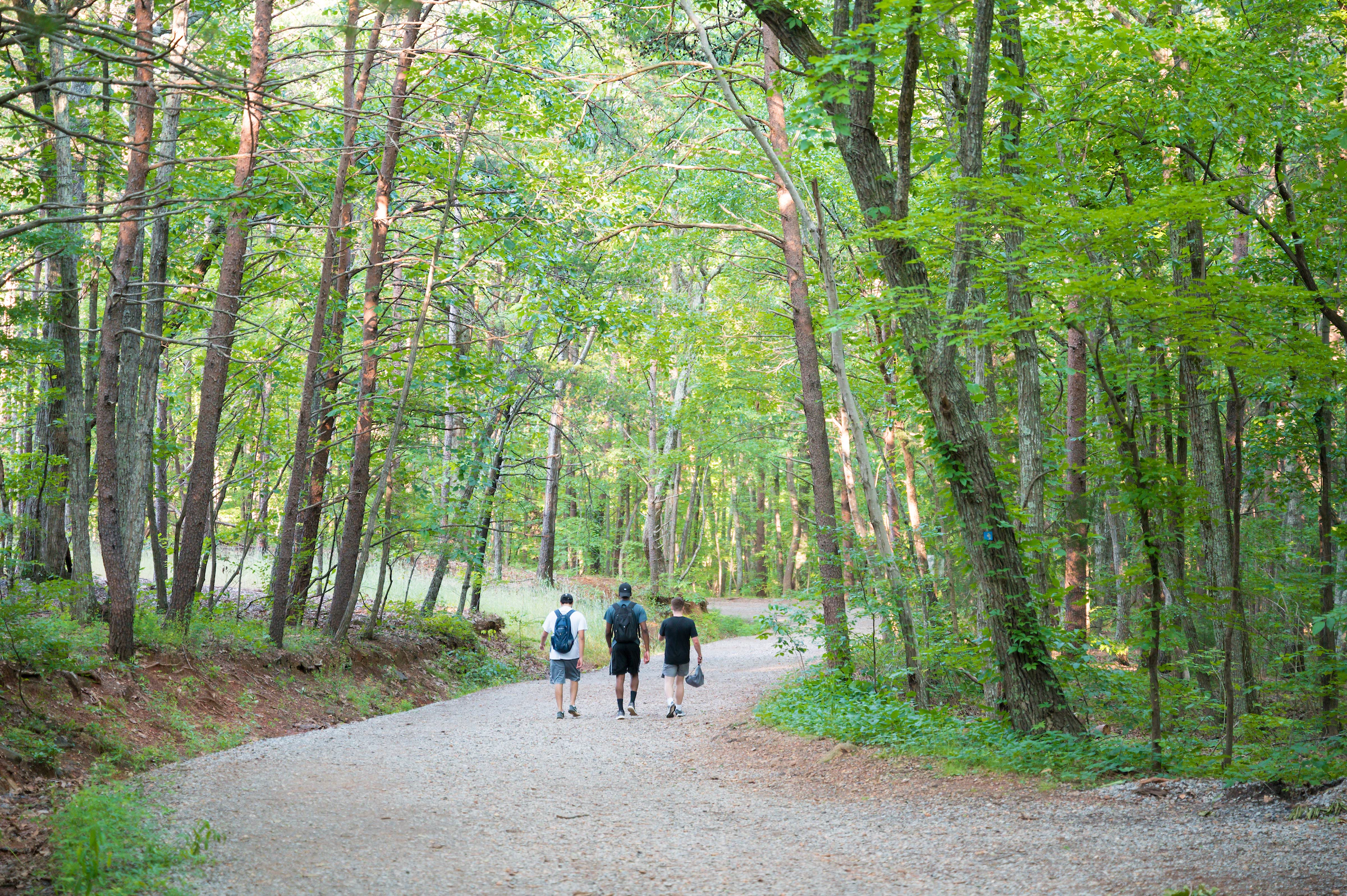 Crowders Mountain 33 1