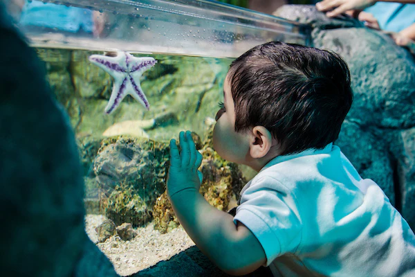 SEA LIFE Aquarium22